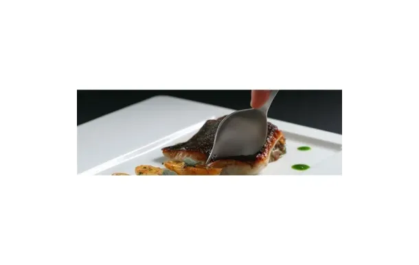 GEORGETTE GEORGETTE  G24AVDV